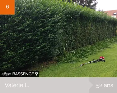 1HPH - Rouxhet - Louveigné - Homme à tout faire - Aménagement du jardin